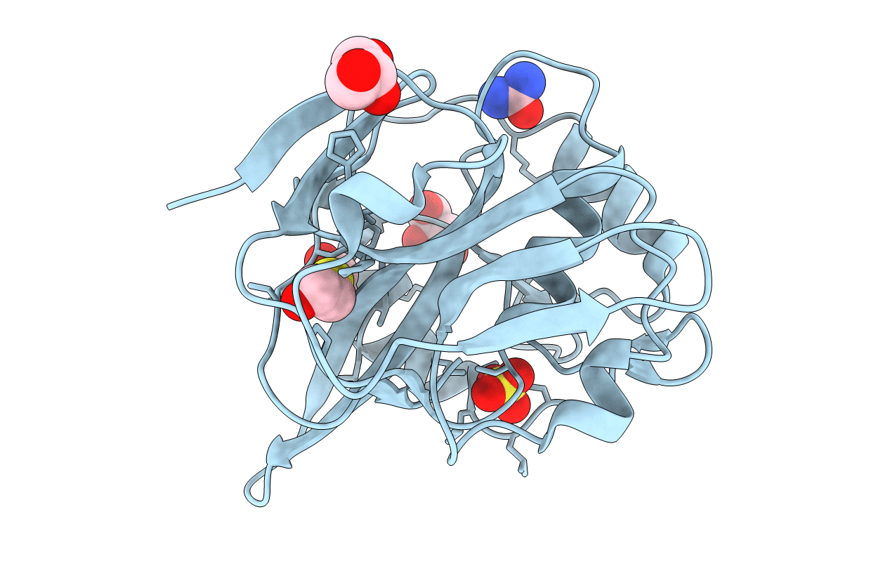 3P06 image