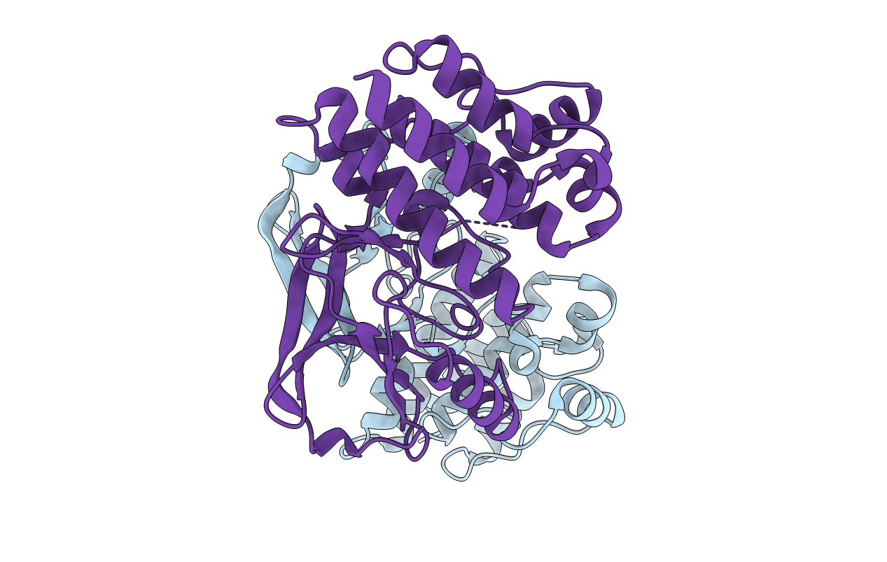 3P08 image