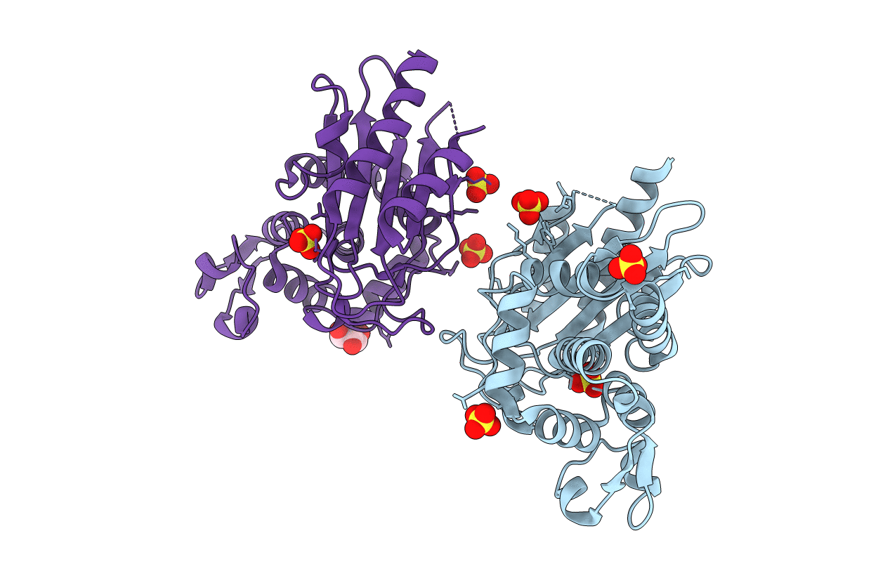 3P09 image