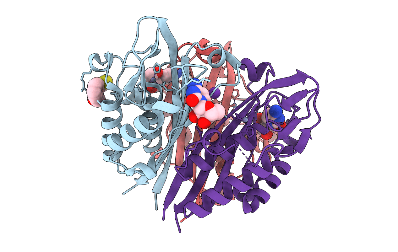 3p10 image