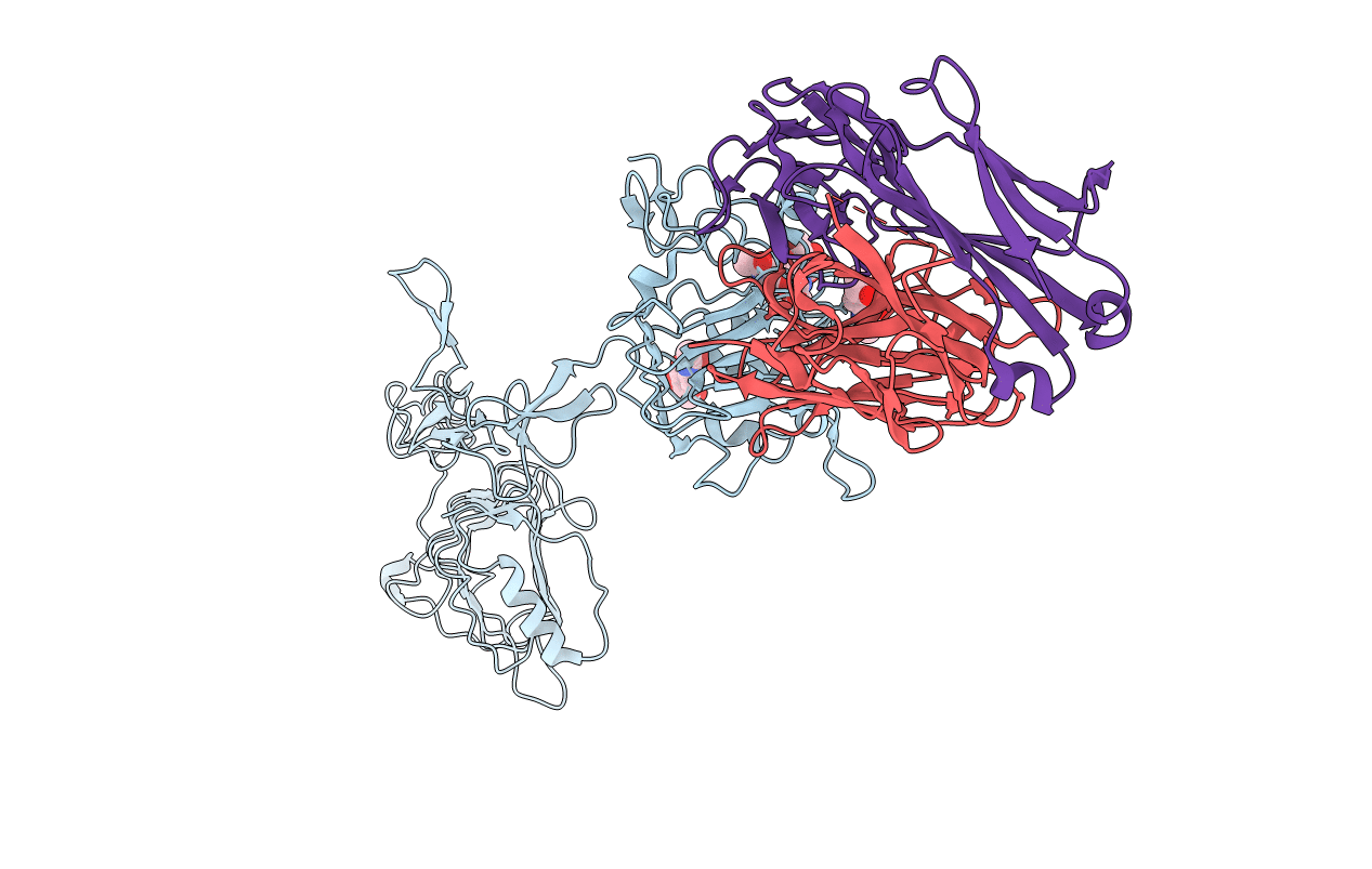 3P11 image