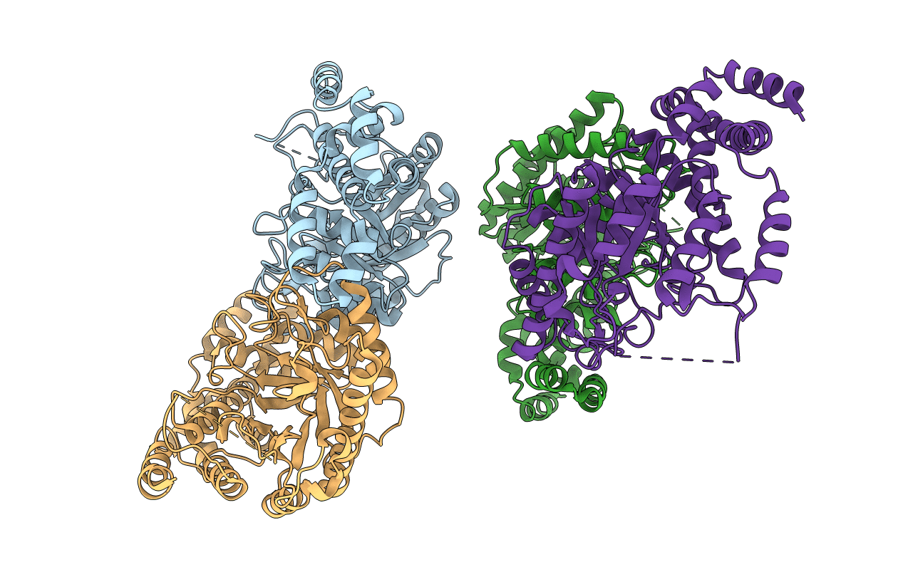 3P14 image