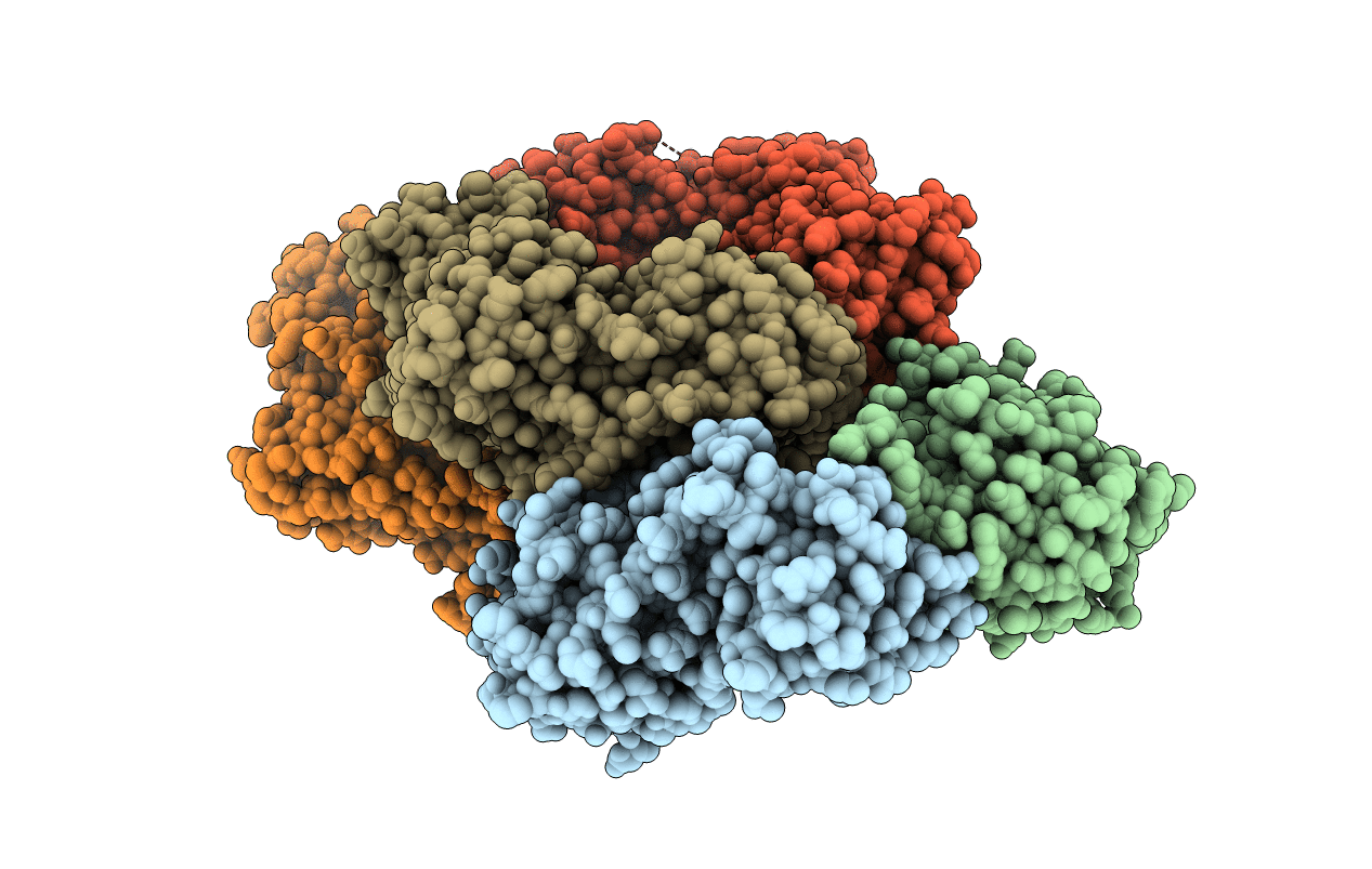 3P16 image