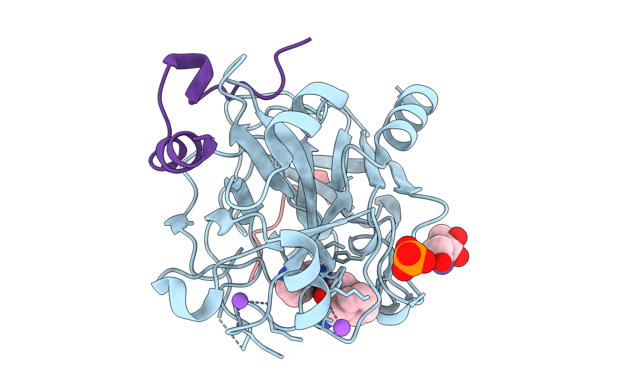 3P17 image