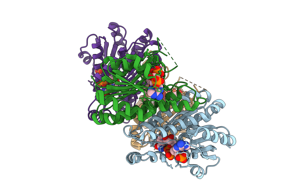 3P19 image