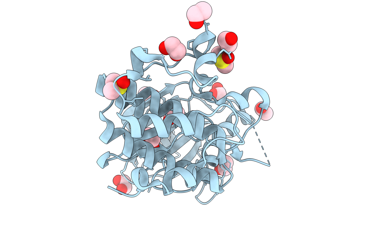 3P1A image