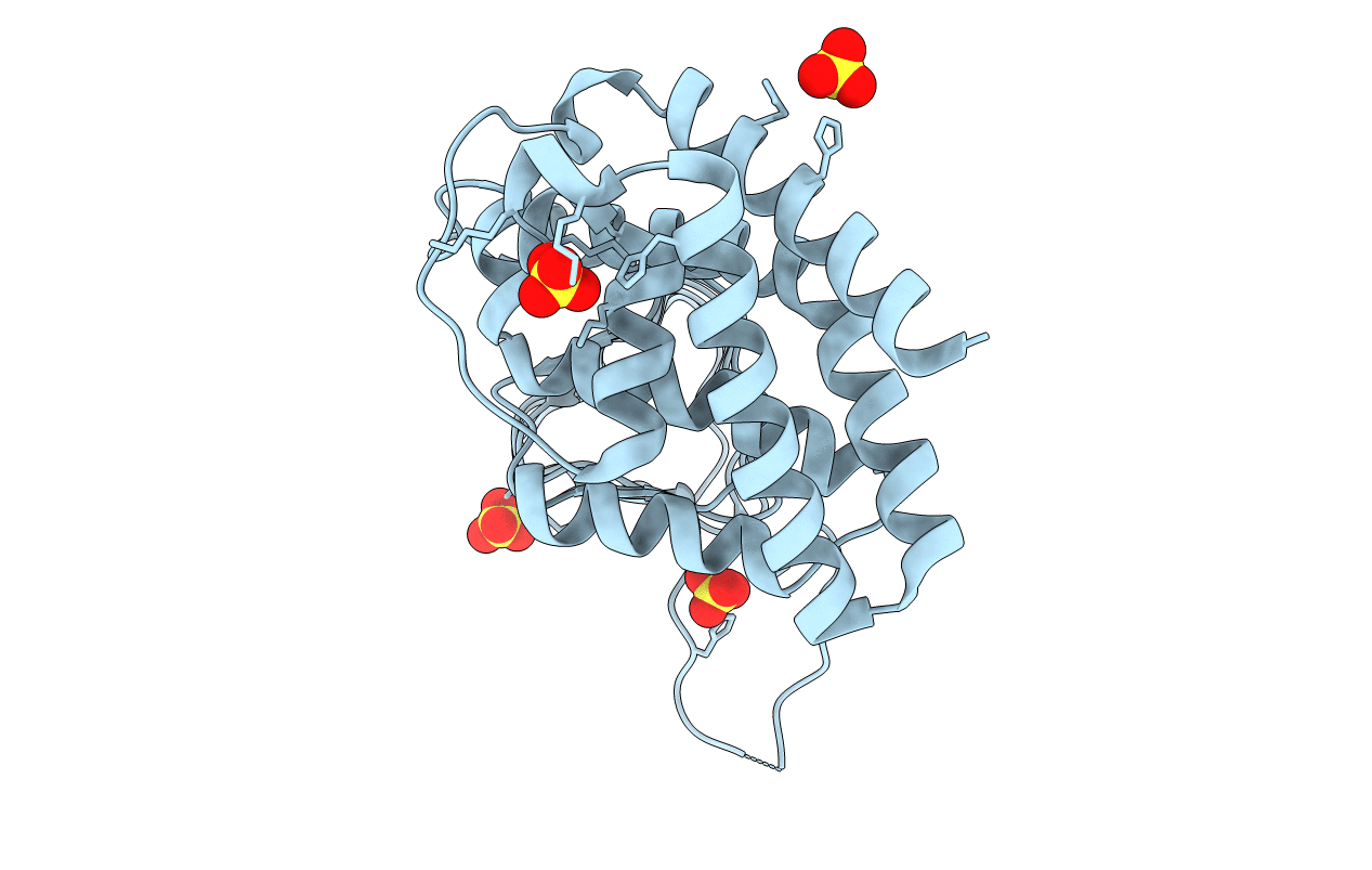 3P1B image