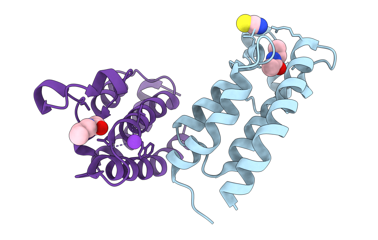 3P1C image