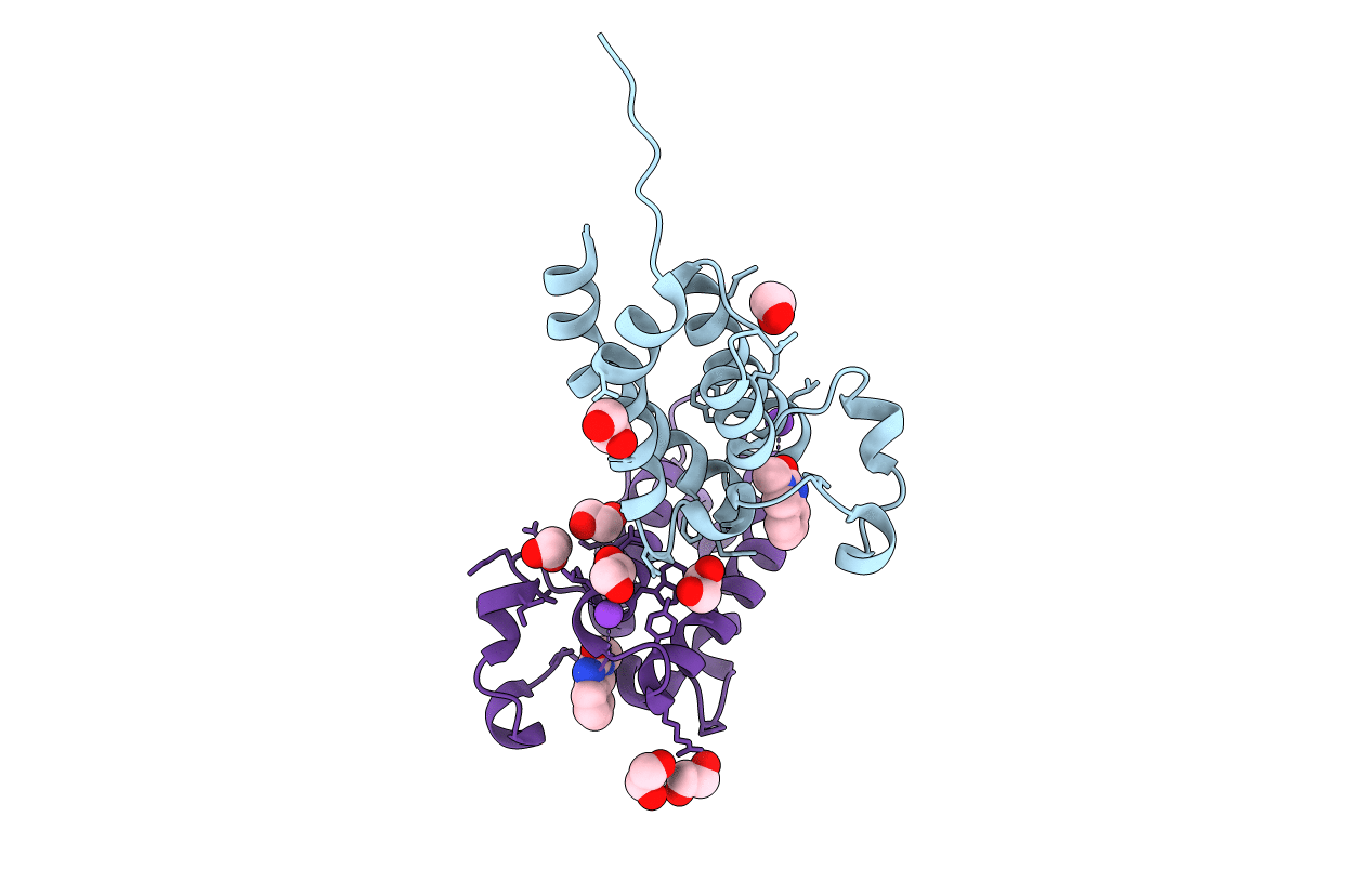3P1F image