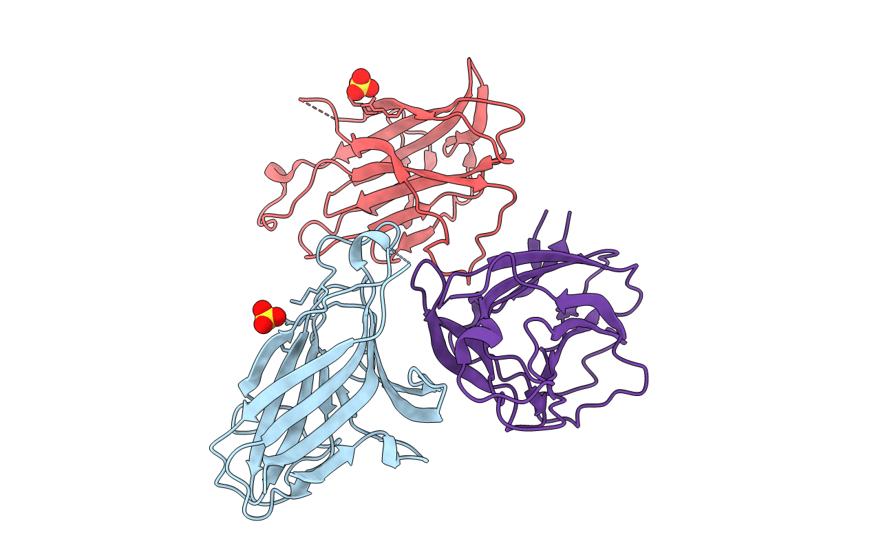 3P1I image