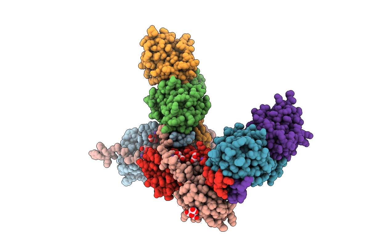 3P1M image