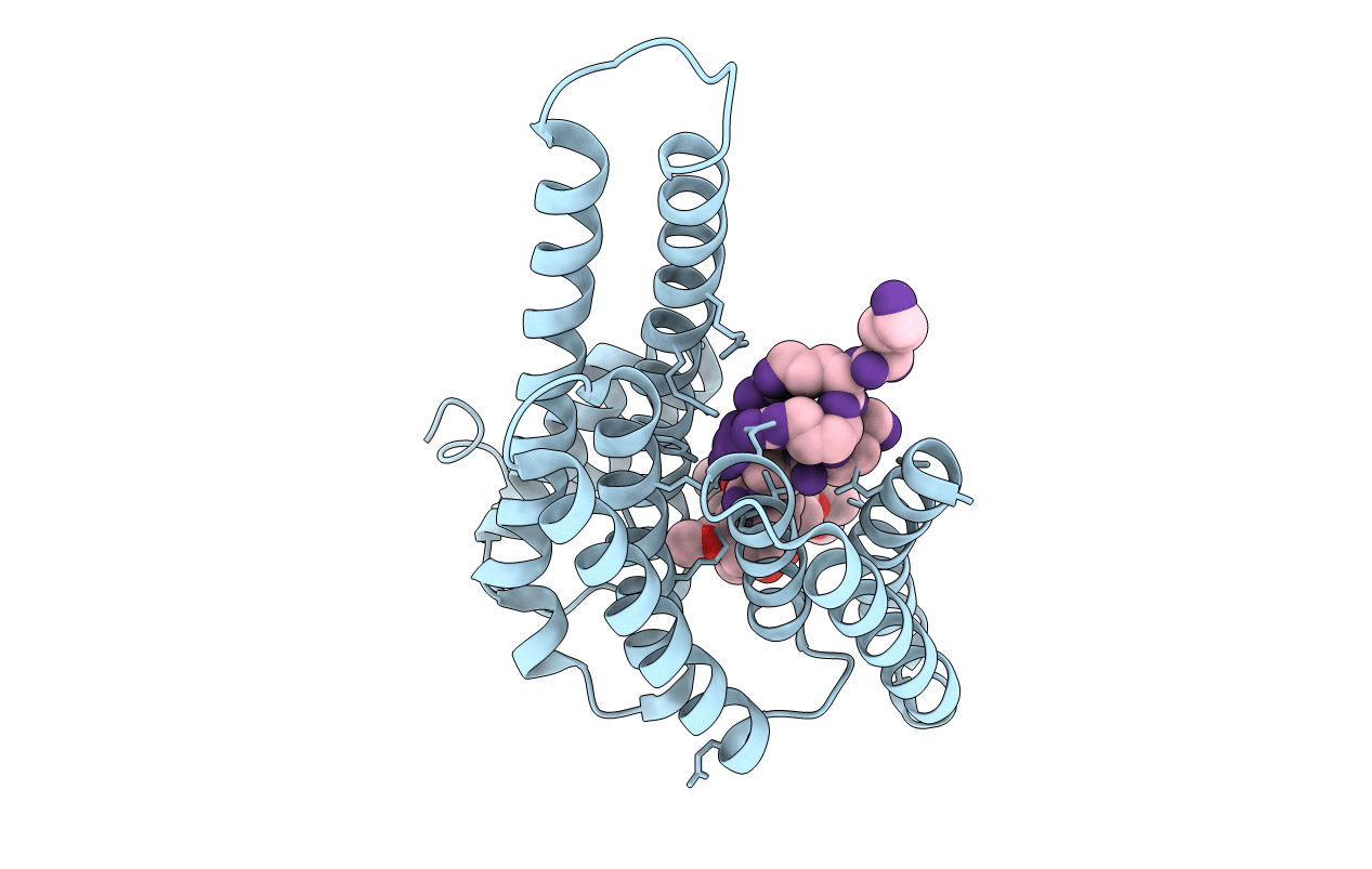 3P1S image