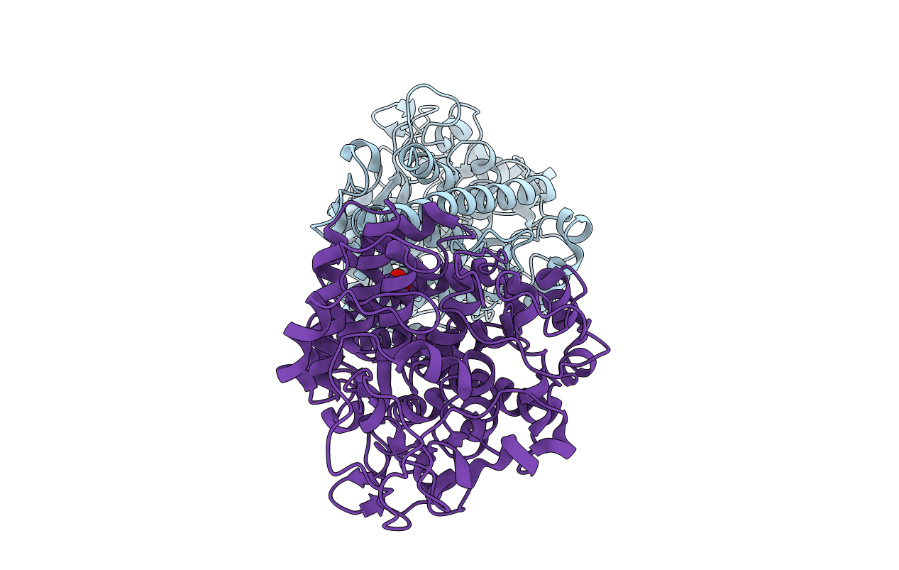 3P1U image