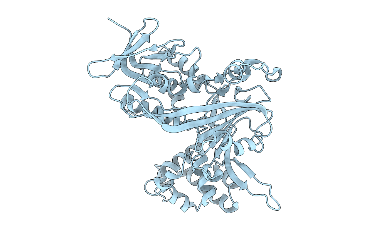 3P1W image