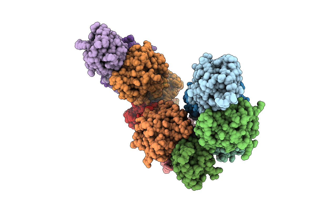 3P1Z image