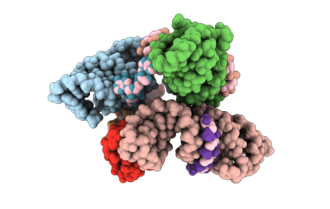3P22 image