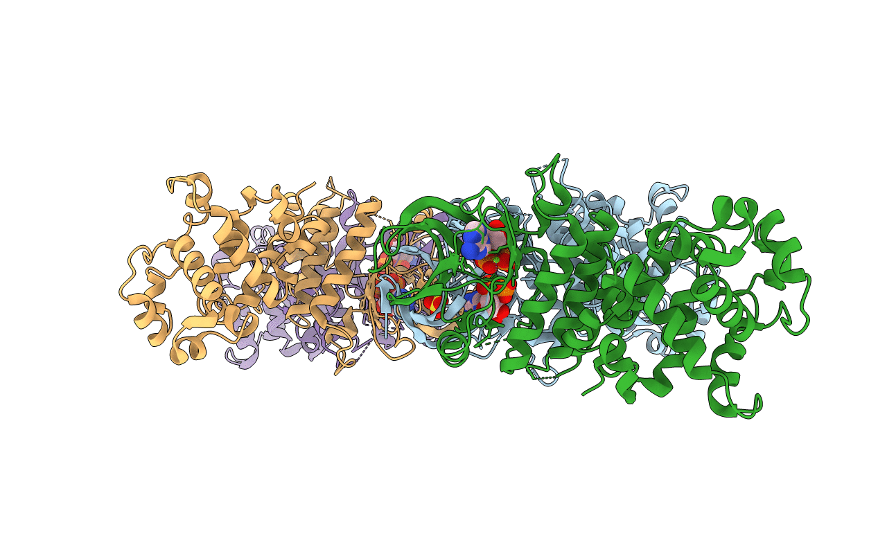 3P23 image