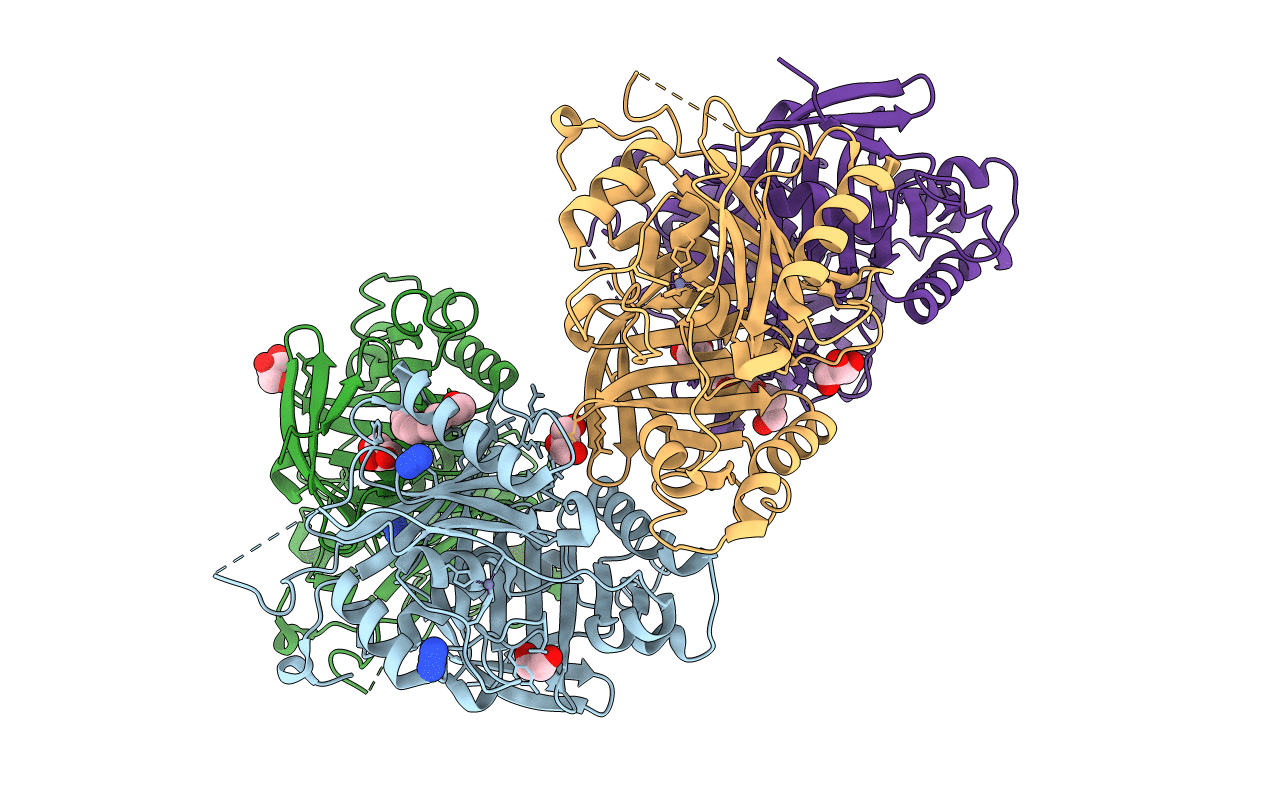 3P24 image