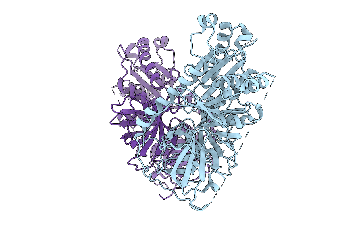 3P26 image