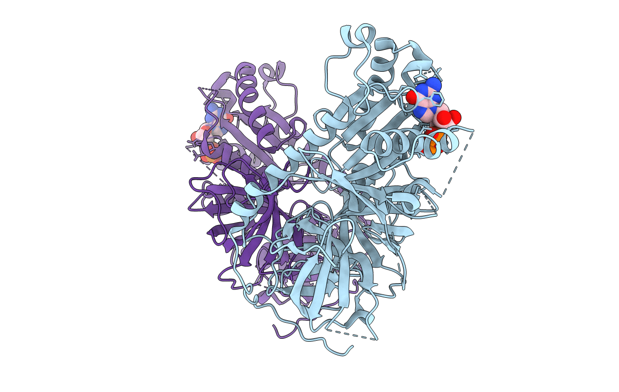 3P27 image