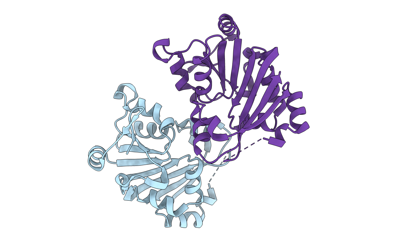 3P2I image