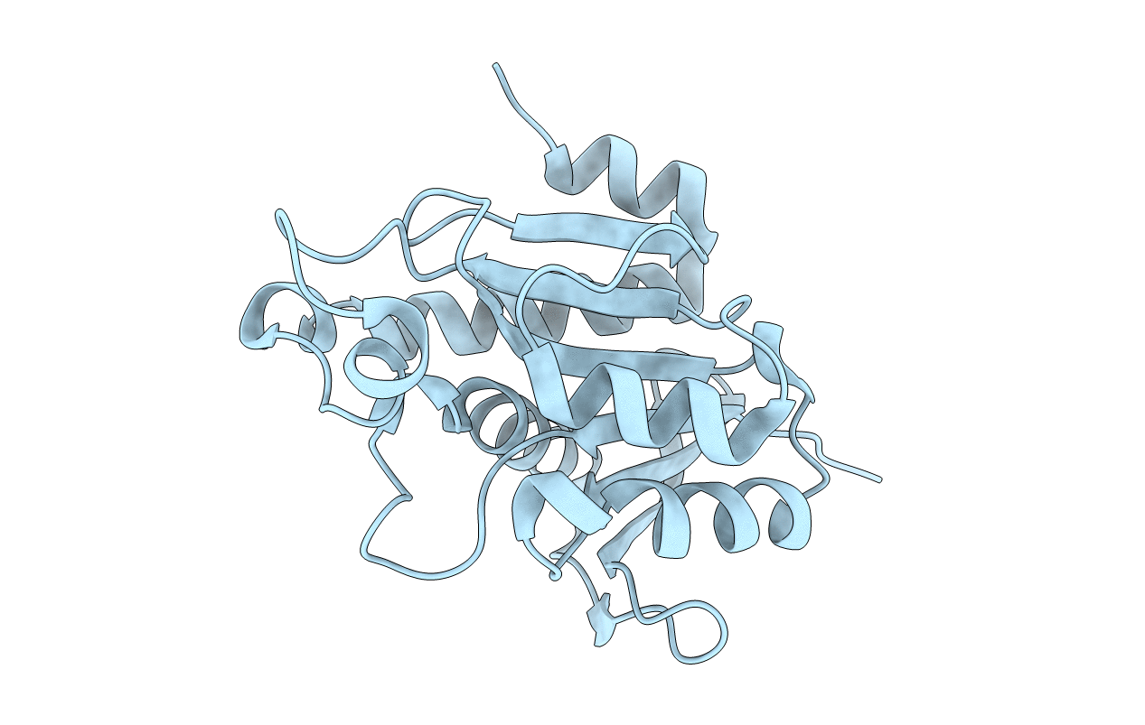 3P2J image