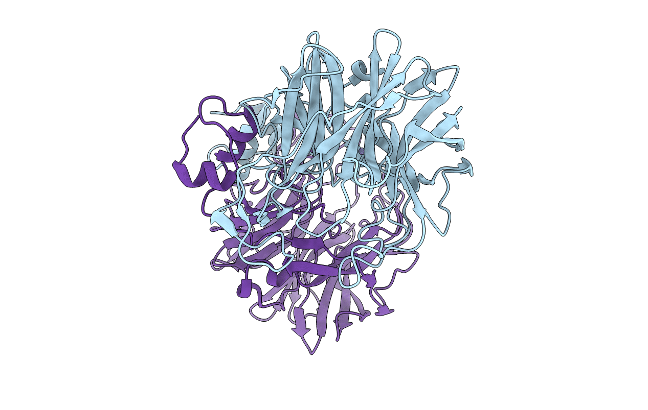3P2N image