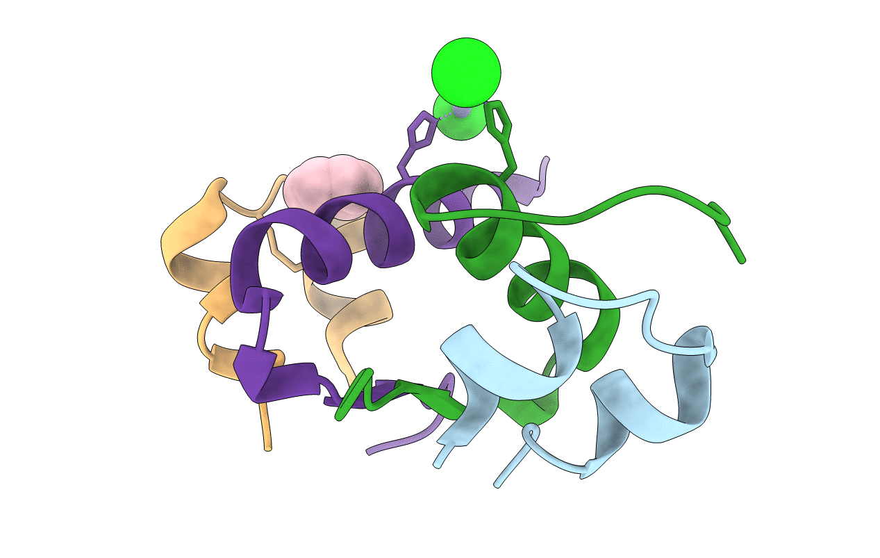 3P2X image