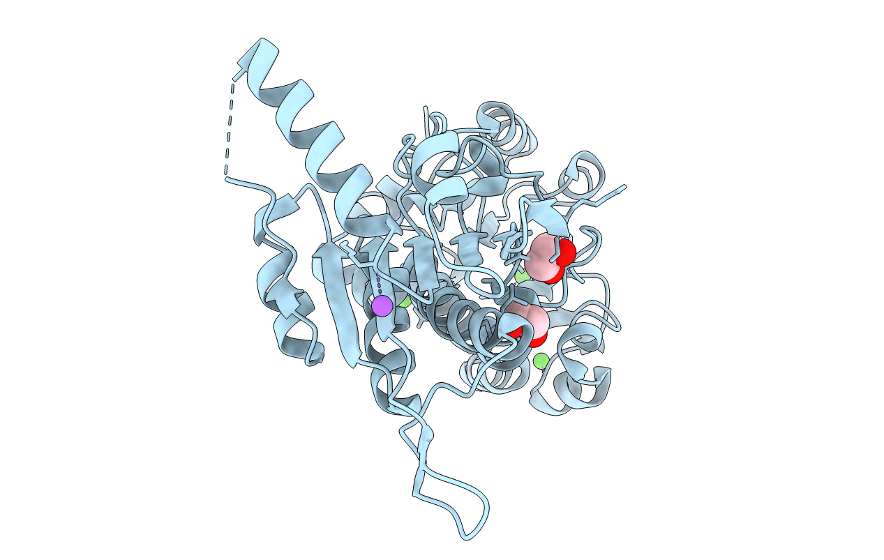 3P2Y image