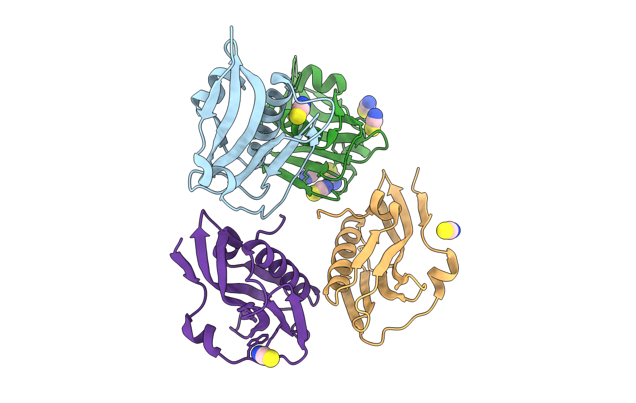 3P31 image