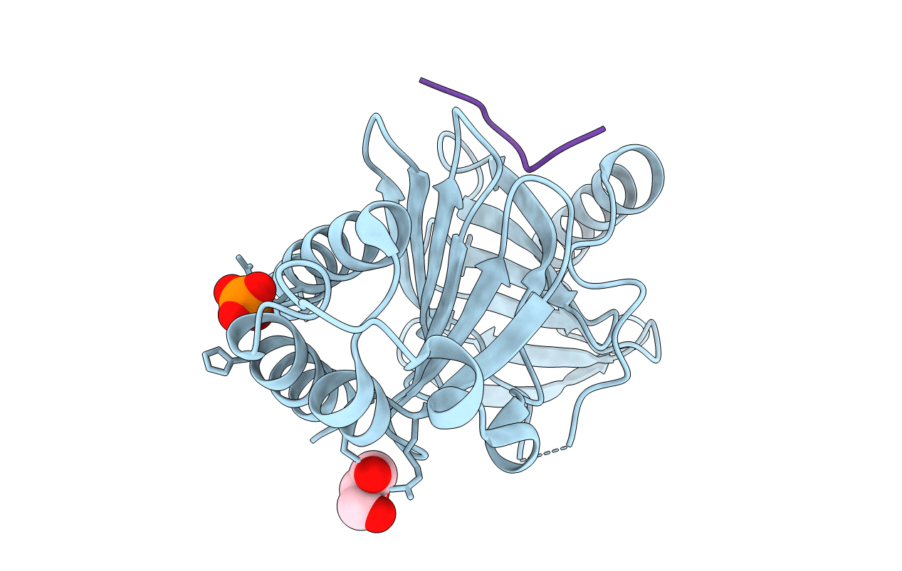 3P36 image