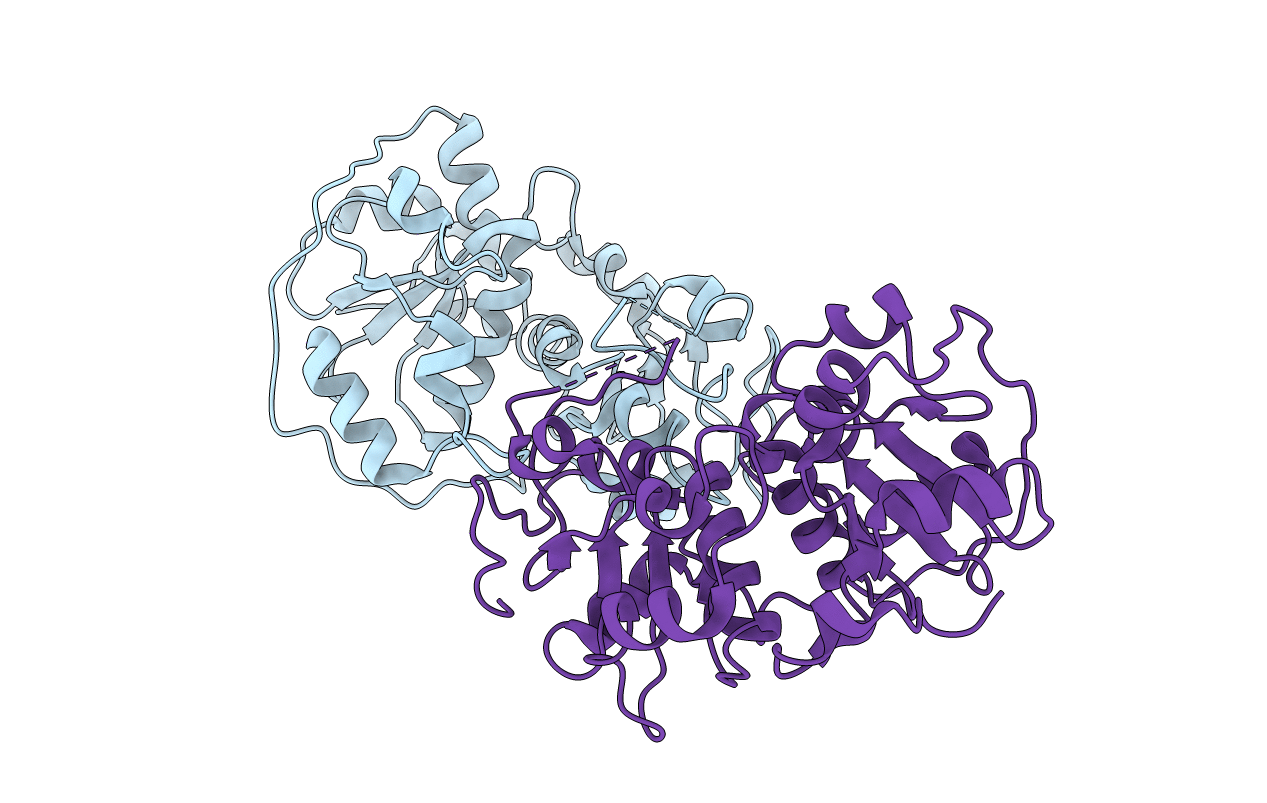 3P3A image