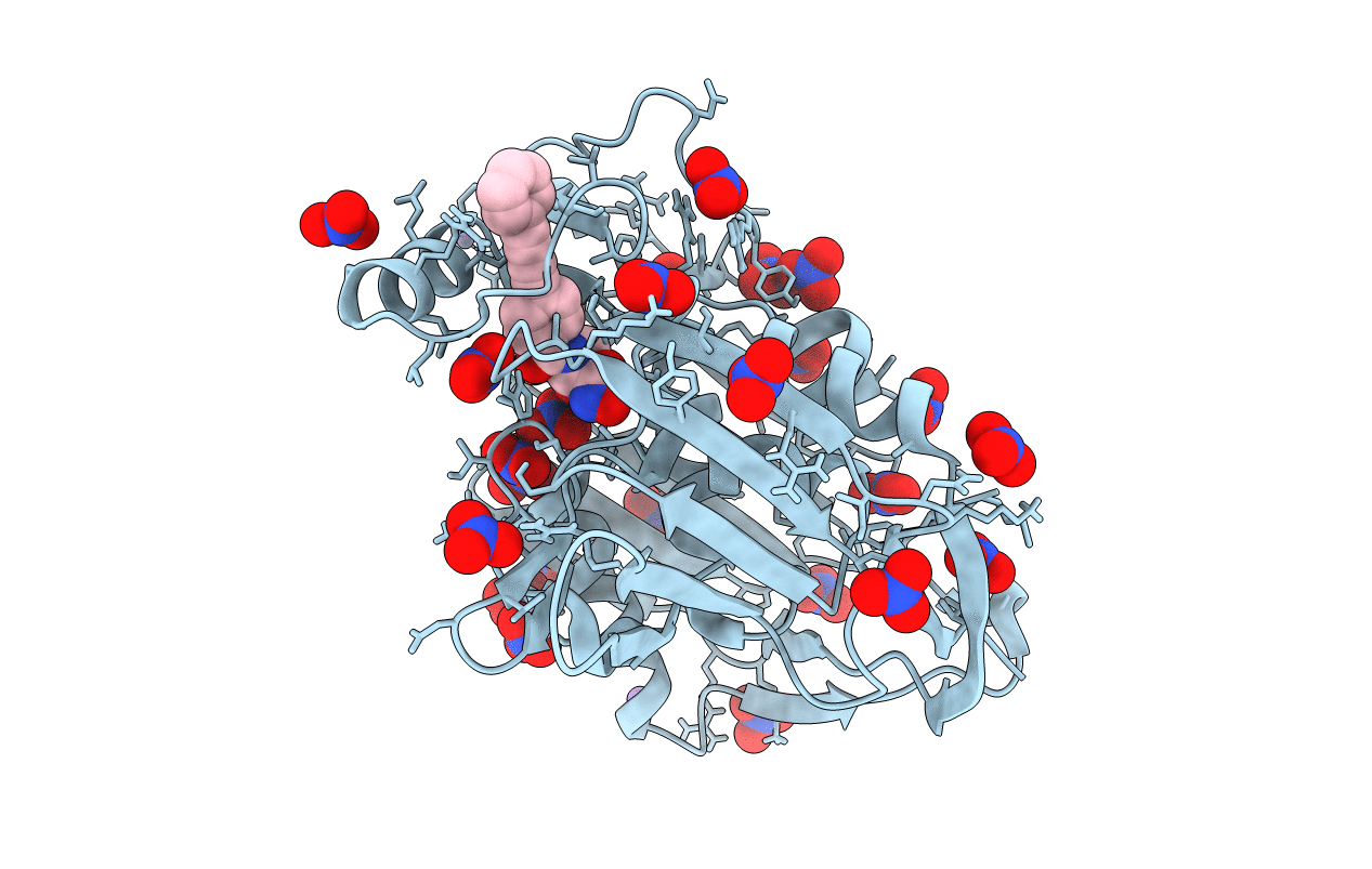 3P3E image