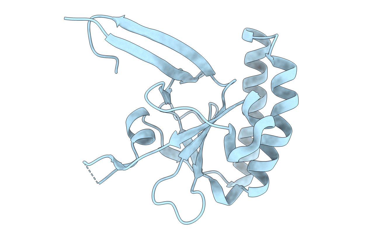 3P3K image