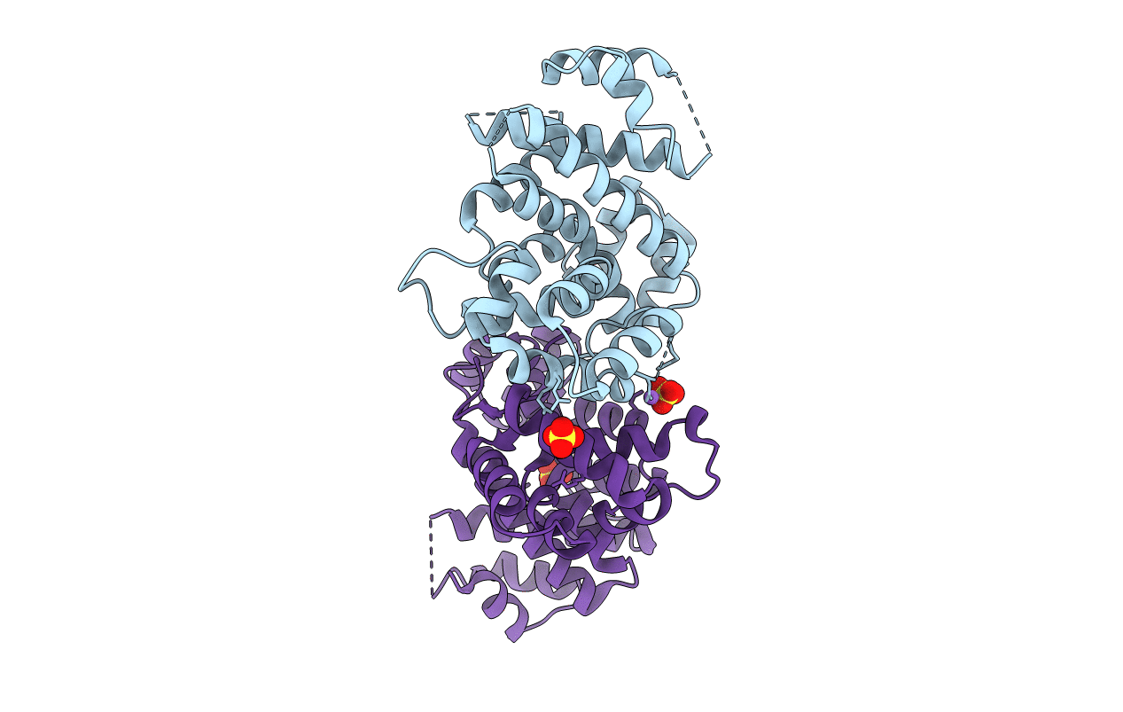 3P3Q image