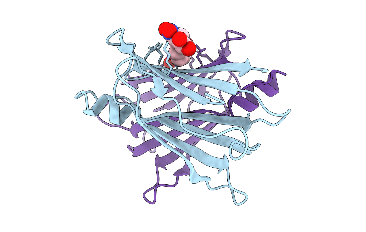 3P3R image