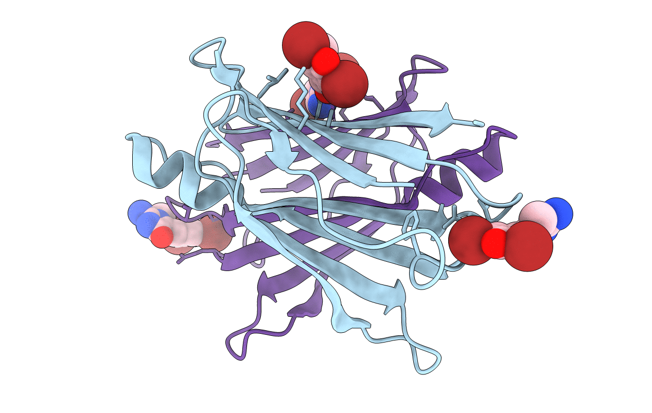 3P3S image