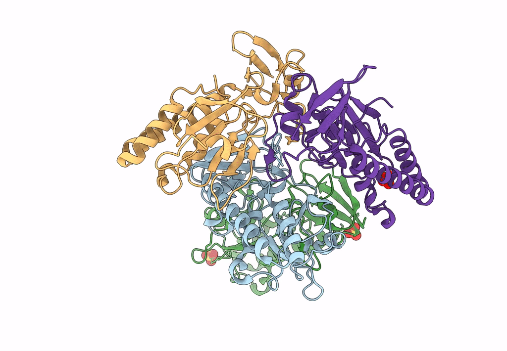3P42 image
