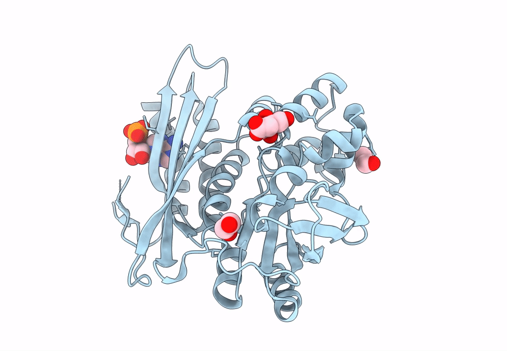 3P4E image