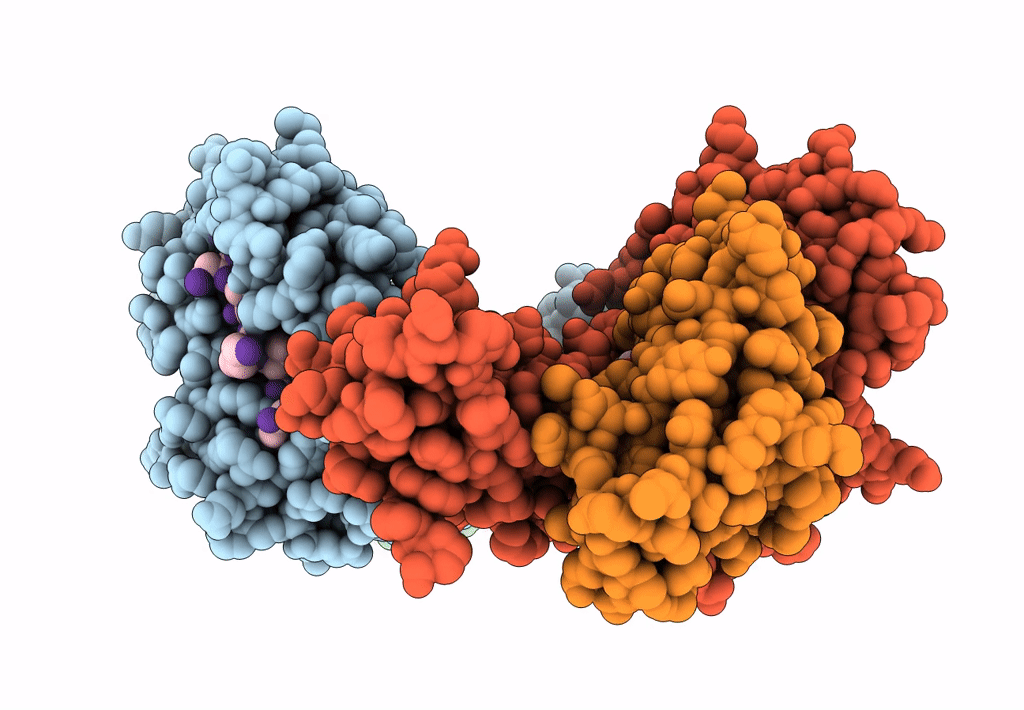 3P4M image