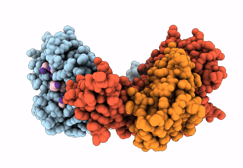 3P4N image