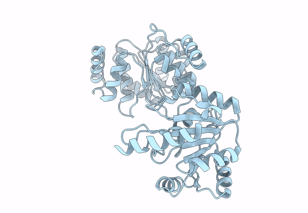 3P4Y image