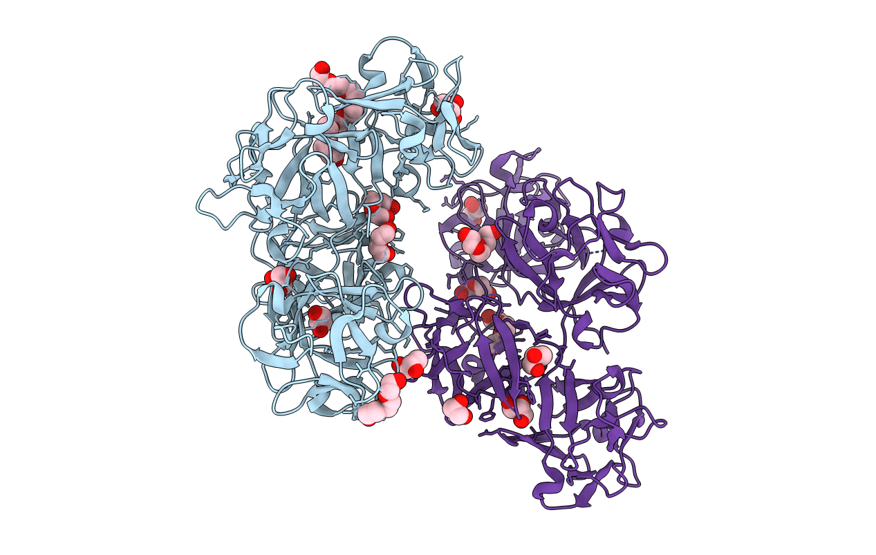 3P53 image