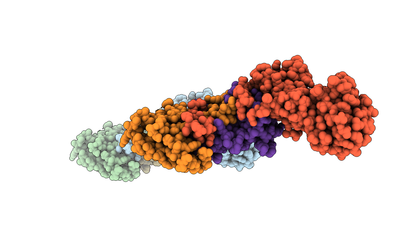 3P56 image