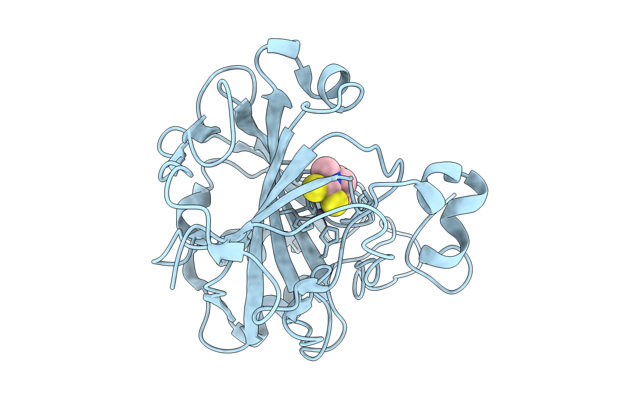 3P58 image