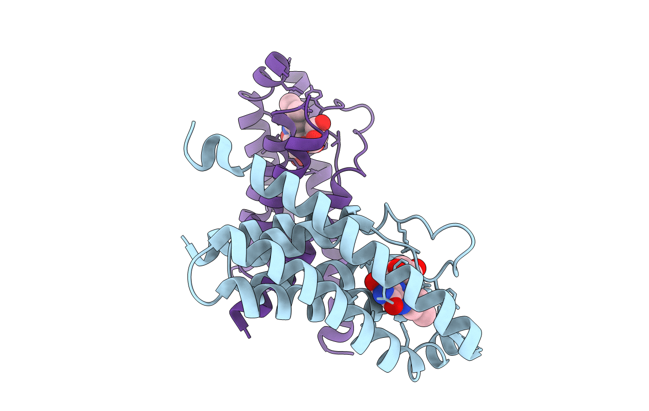3P5N image