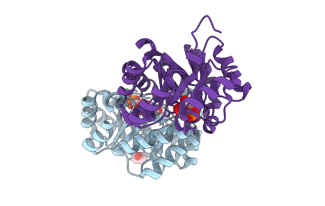 3P5Y image