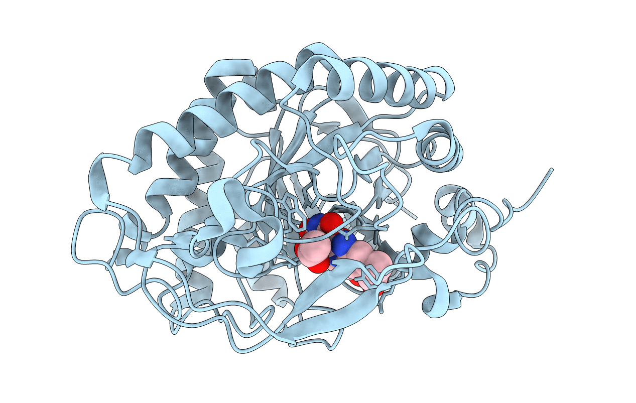 3P62 image