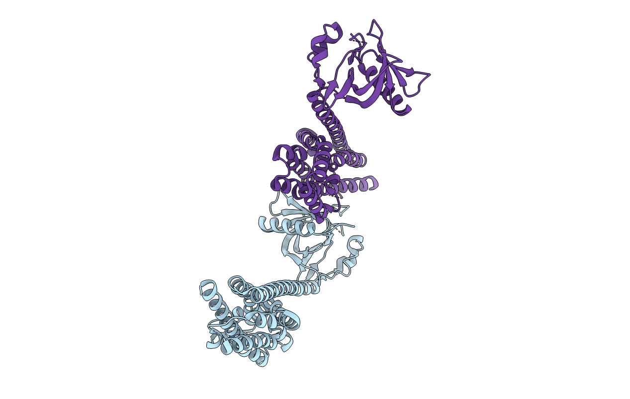 3P6A image