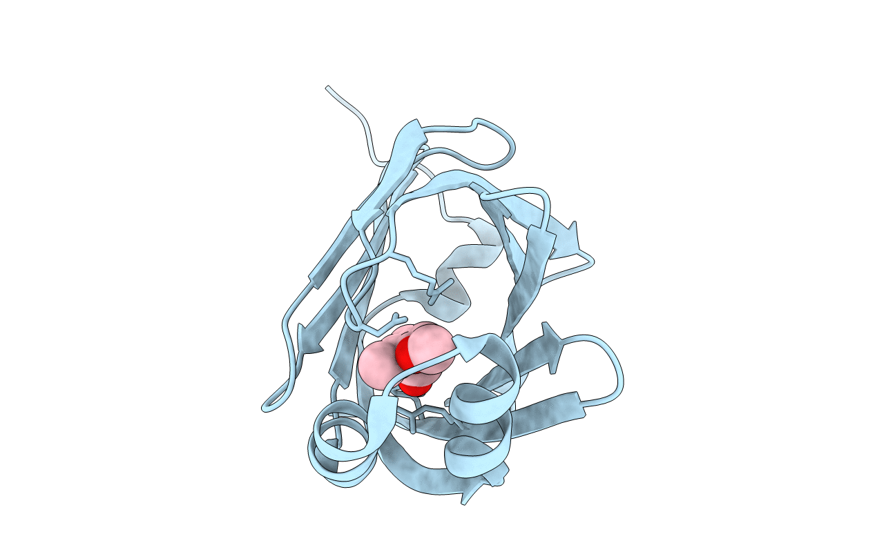 3P6D image